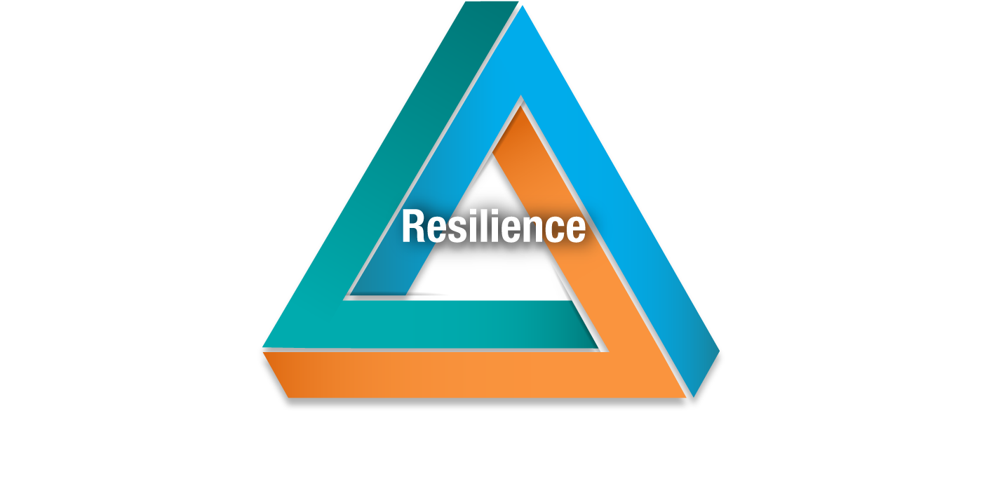 Networking Evolved, Strengthened Resilience 